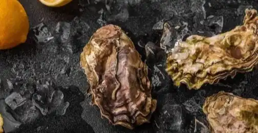 How Does Oyster Peptide Support Immune and Antioxidant Functions?